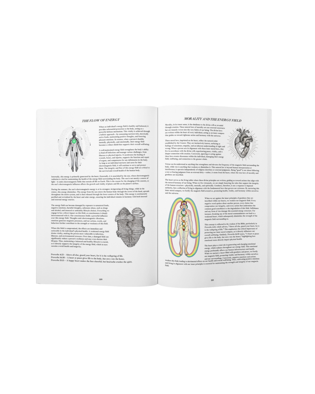 Book of Wisdom Volume 2 - Paperback English