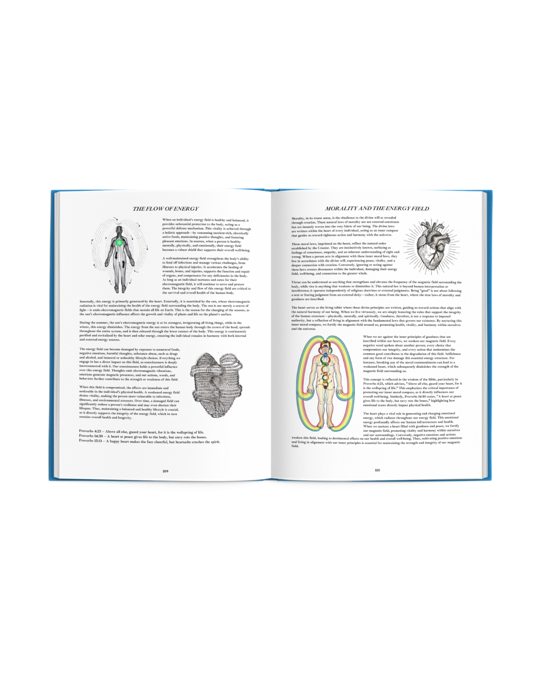 Book of Wisdom Volume 2 - Exclusive Hardcover English