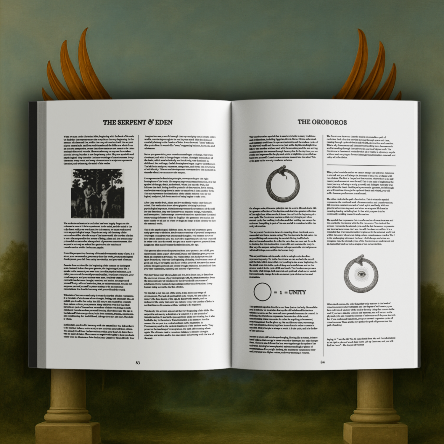 Symbolism Book Examples Book of Symbolism: Awaken Your Consciousness Through Sacred Wisdom ...
