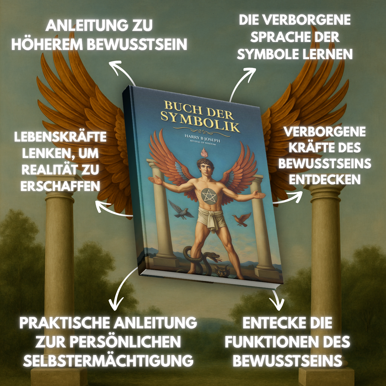 Buch der Symbolik - Deutsch Hardcover