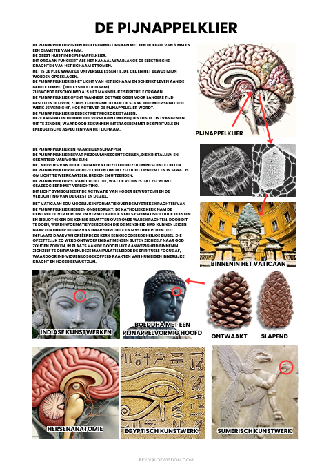 Boek der Wijsheid Deel 1 PDF - Nederlands