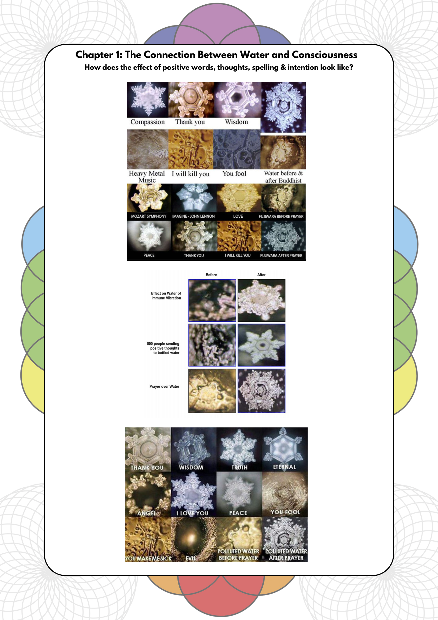 Vibrational Energy Codes Paperback - English