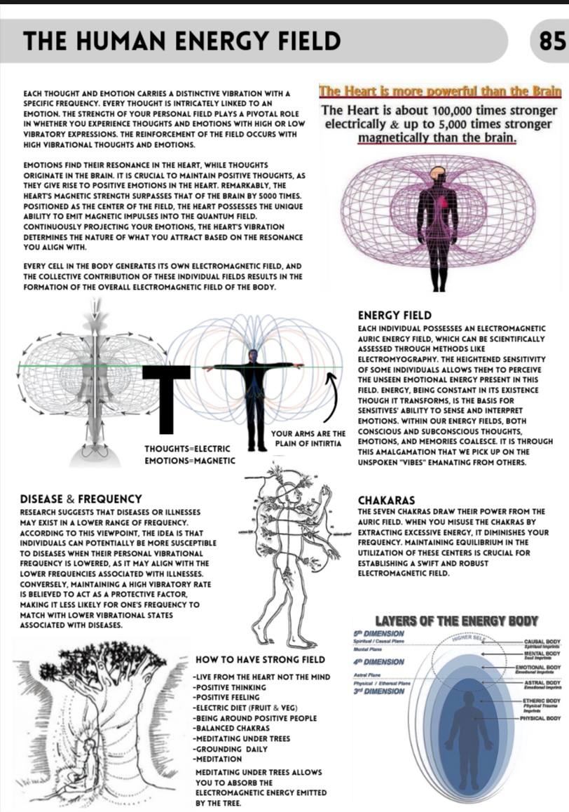 Book Of Wisdom PDF book-of-wisdom-pdf